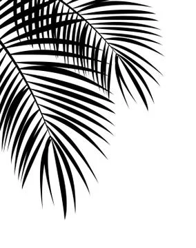 Palm Leaf Vector Background Illustration Illustrazione stock
