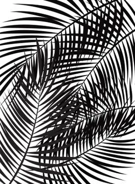 Palm Leaf Vector Background Illustration Stock Illustration