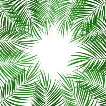 Palm Leaf Vector Background Illustration Stock Illustration