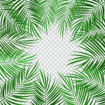Palm Leaf Vector Background Illustration Stock Illustration