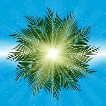Palm Leaf Vector Background Illustration イラスト素材