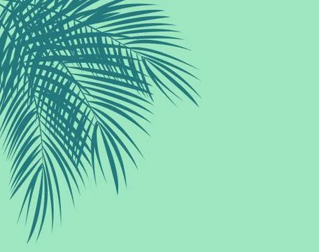Palm Leaf Vector Background Illustration Stock Illustration