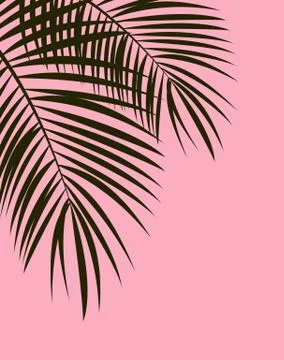 Palm Leaf Vector Background Illustration Stockillustratie
