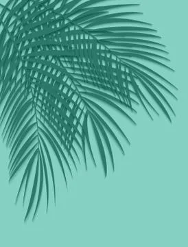 Palm Leaf Vector Background Illustration イラスト素材