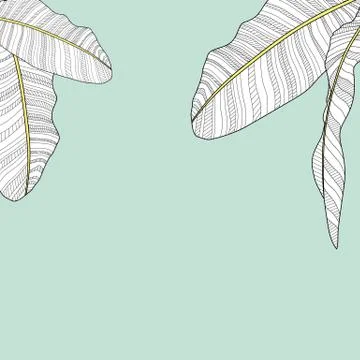 Palm Leaf Vector Background Illustration イラスト素材