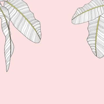 Palm Leaf Vector Background Illustration イラスト素材