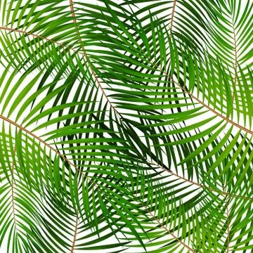 Palm Leaf Vector Background Illustration Stock Illustration