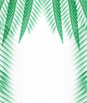 Palm Leaf Vector Background Illustration Stock Illustration
