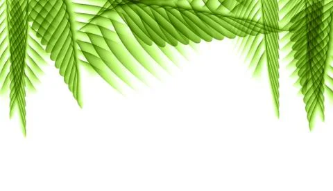 Palm Leaf Vector Background Illustration Stock Illustration