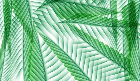 Palm Leaf Vector Background Illustration Stockillustratie
