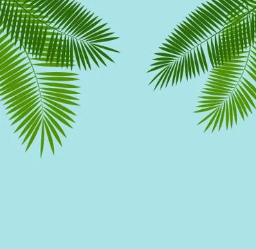 Palm Leaf Vector Background Illustration Illustrazione stock