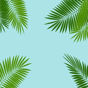 Palm Leaf Vector Background Illustration イラスト素材