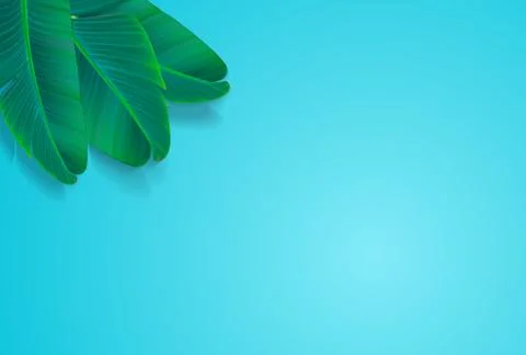 Palm Leaf Vector Background Illustration Stock Illustration