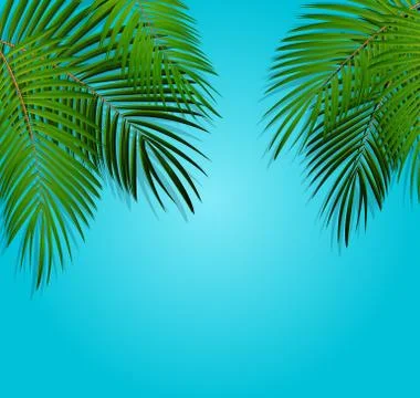 Palm Leaf Vector Background Illustration Stockillustratie