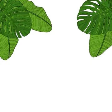 Palm Leaf Vector Background Illustration Stockillustratie