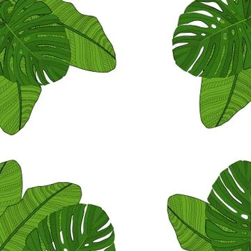 Palm Leaf Vector Background Illustration Stock Illustration