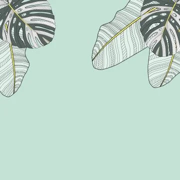 Palm Leaf Vector Background Illustration Illustrazione stock
