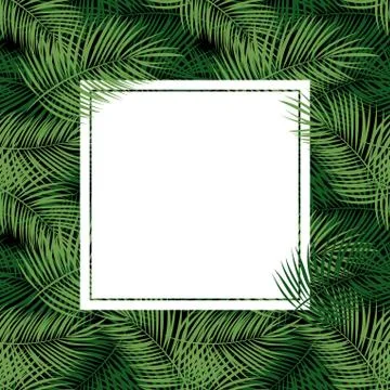 Palm Leaf Vector Background  with White Frame Illustration Stock Illustration