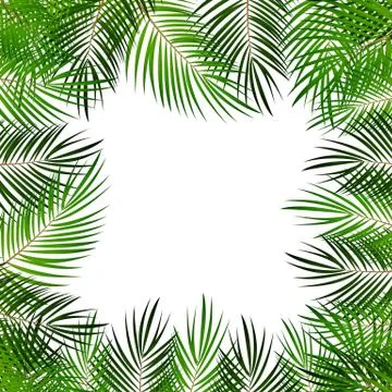 Palm Leaf Vector Background  with White Frame Illustration イラスト素材
