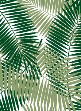 Palm Leaf Vector Frame Background Illustration Stock Illustration