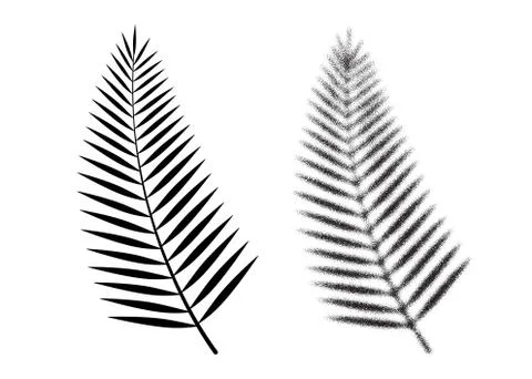 Palm leaf vector icon. Tropical dotwork leaf. Vector イラスト素材