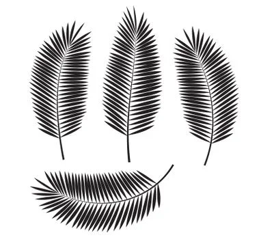 Palm Leaf Vector Illustration イラスト素材