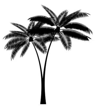 Palm Leaf Vector Illustration Illustrazione stock