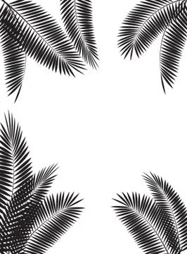 Palm Leaf Vector Illustration イラスト素材