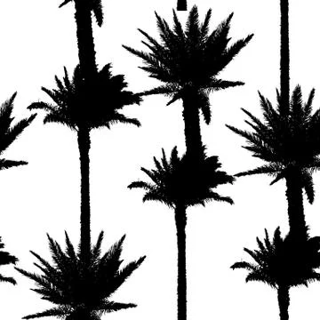 Palm Leaf Vector Seamless Pattern Background Illustration Stock Illustration