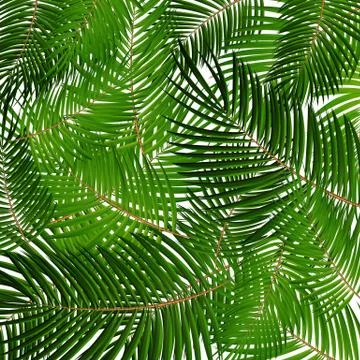 Palm Leaf Vector. Seamless pattern. Background Illustration EPS10 Illustrazione stock
