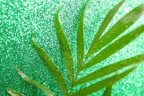 Palm leaf with water drops on defocused green glitter background, abstract .. 库存照片