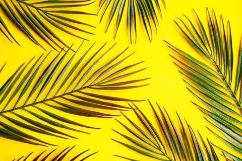 Palm leafs pattern on bright yellow background Stock Photos
