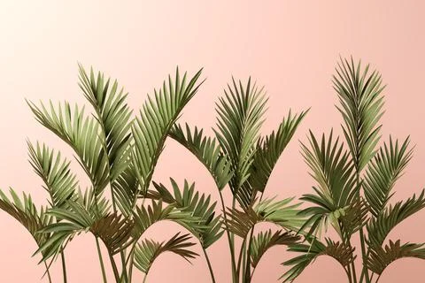 Palm leafs on pink background 3D illustration Stock Photos