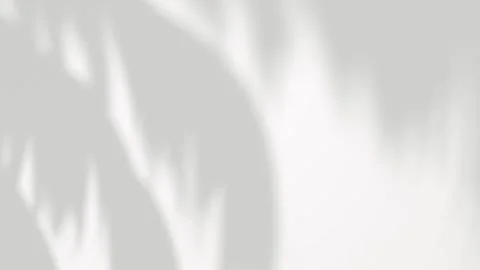 Palm leafs shadow relaxation movement on white backgrounds footage video re.. Vídeos de archivo 327943970