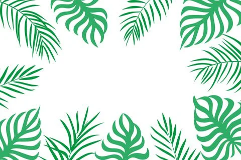 Palm leaves background with copy space on white Stock Illustration
