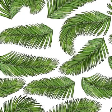 Palm leaves background Stock Illustration