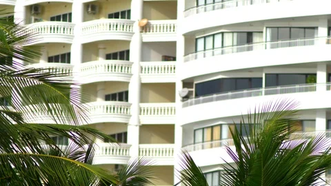 Palm leaves on a background of skyscrapers Stock Footage 100648116