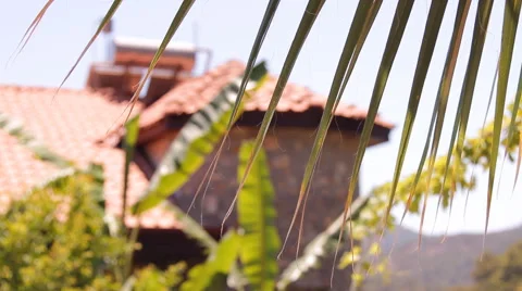 The palm leaves on the background of the Villa Stock Footage 42667472