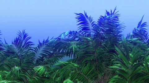 Palm Leaves Foliage Background with Blue Sky Stock Footage 263901853