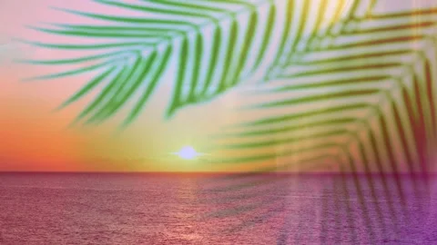Palm leaves Stock Footage 265035514