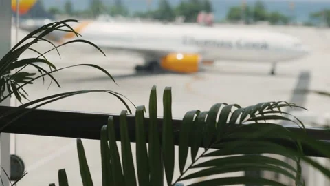 Palm leaves in the foreground. in the background the plane moves along the 스톡 동영상 130717760