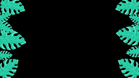 Palm Leaves Frame Render Stock Footage 242115937