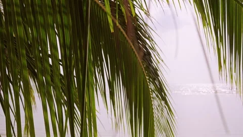 Palm Leaves Framing Distant Sea And Horizon Creating Tropical Paradise And Relax Vídeo Stock 327398638