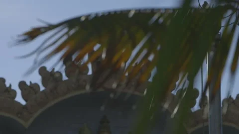 Palm leaves in front of temple Stock Footage 158678064