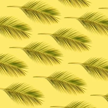 Palm leaves Stock Illustration
