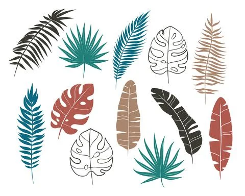 Palm leaves Stock Illustration