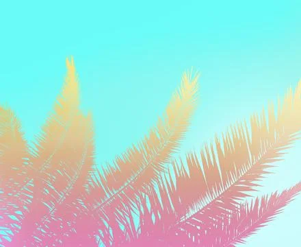 Palm leaves Stock Illustration