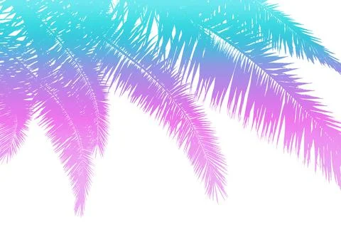 Palm leaves Stock Illustration