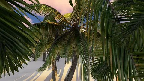 Palm leaves on the island.3D Render Stock Illustration