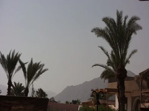 Palm leaves mount wind Stock Footage 71476072